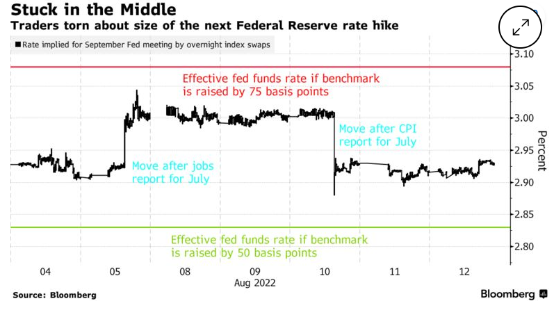 Thị trường trái phiếu tăng giá cho cuộc thách thức với các nhà giao dịch được phân chia theo đường dẫn của Fed