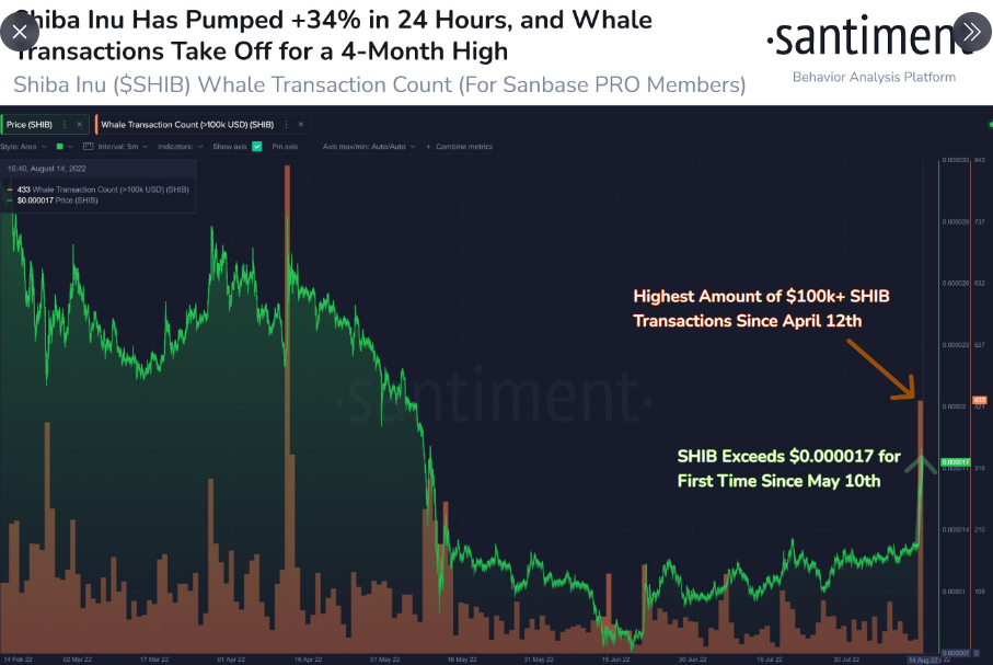 #ShibaInu đã di chuyển vào cuối tuần này và tăng + 34% trong 24 giờ qua trong khi #crypto khá ổn định. Không phải ngẫu nhiên, cá voi đã hoạt động rất tích cực trên $ SHIB. Đã có 433 giao dịch trị giá từ $ 100k trở lên, nhiều nhất trong 4 tháng.