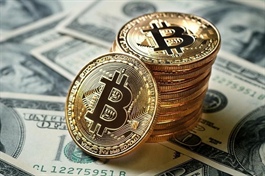 Một trong những công ty đào bitcoin lớn nhất của Mỹ phá sản