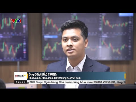 Bản tin TCKD ngày 30/06/2023: Giá kim loại tiếp tục suy yếu | MXV
