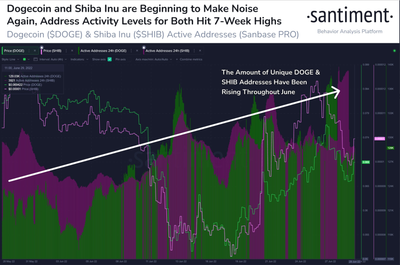 Whatever your opinion may be on #Dogecoin and #ShibaInu, it appears as though they are each showing notable increases in network activity.