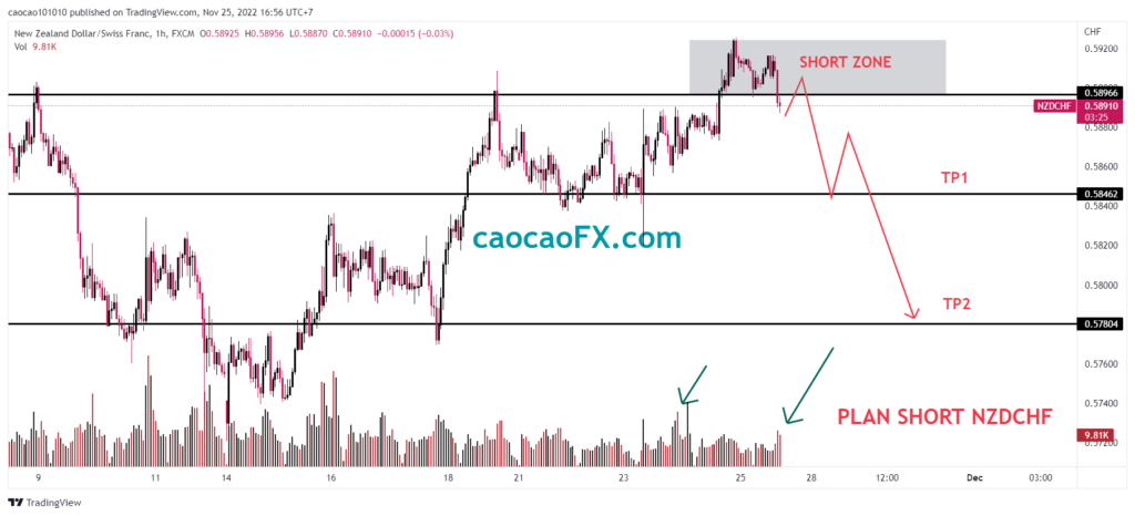 Short Nzdchf - Plan - Hoangson Group