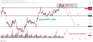 nzdchf 2022 11 25 16 56 37