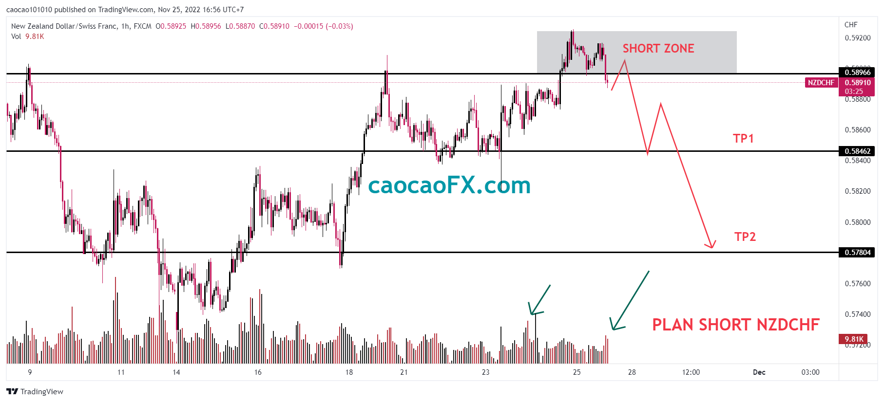 nzdchf 2022 11 25 16 56 37