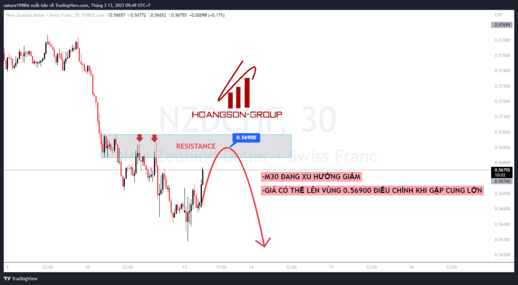 nzdchf 2023 03 13 09 49 56