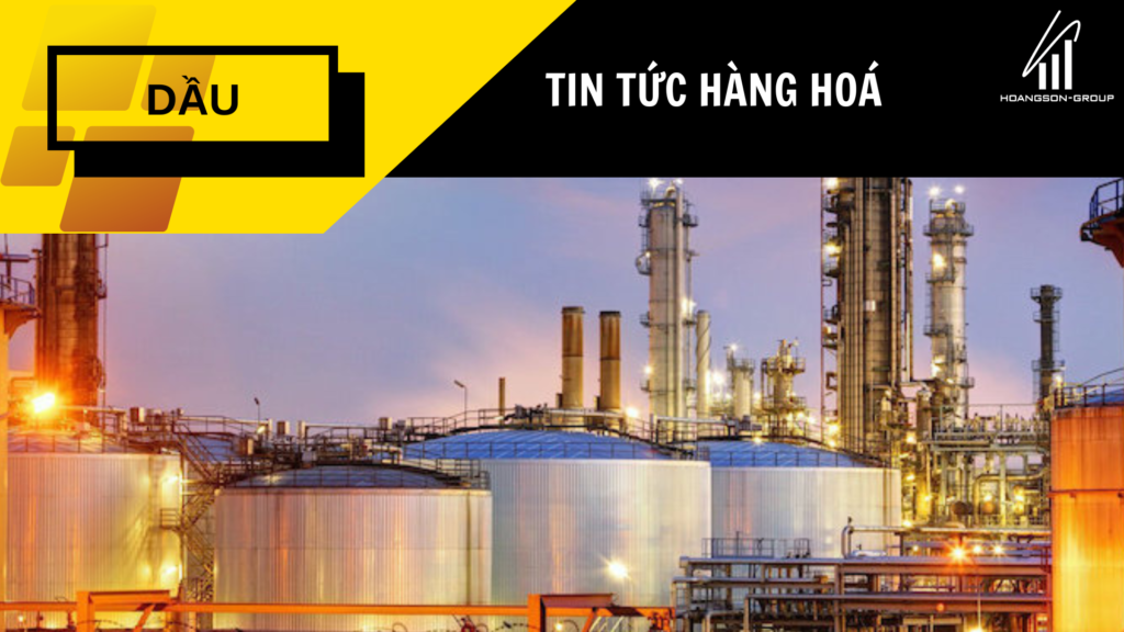 hoangsongroup dau