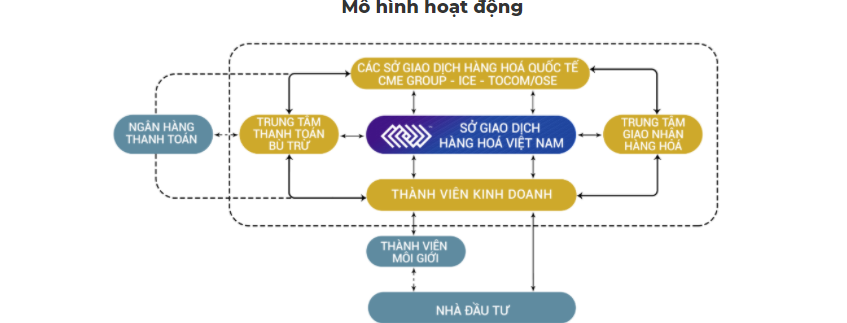 mo hing hoat dong