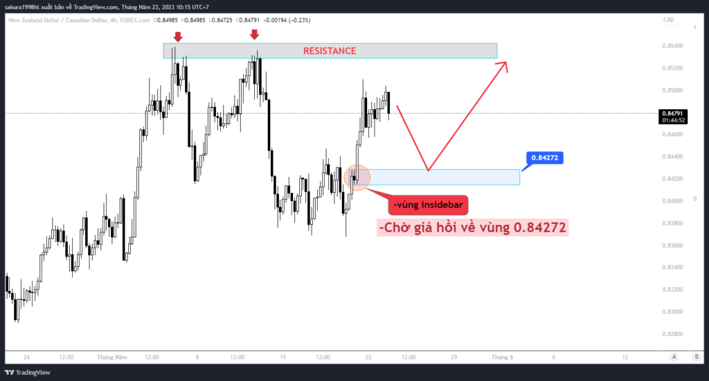 nzdcad 2023 05 23 10 15 09 1 1