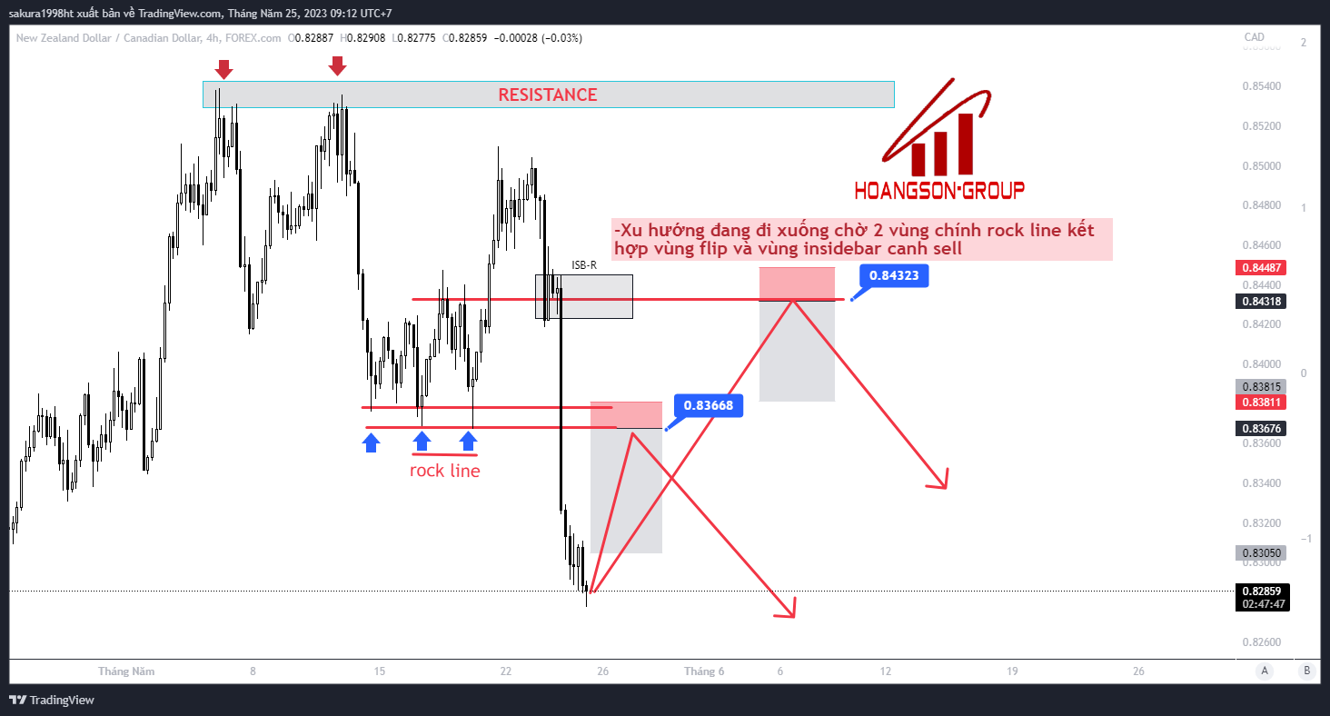 nzdcad 2023 05 25 09 12 12