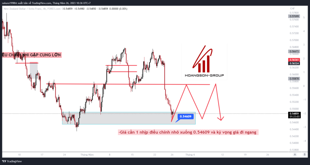 nzdchf 2023 05 26 10 36 58 1