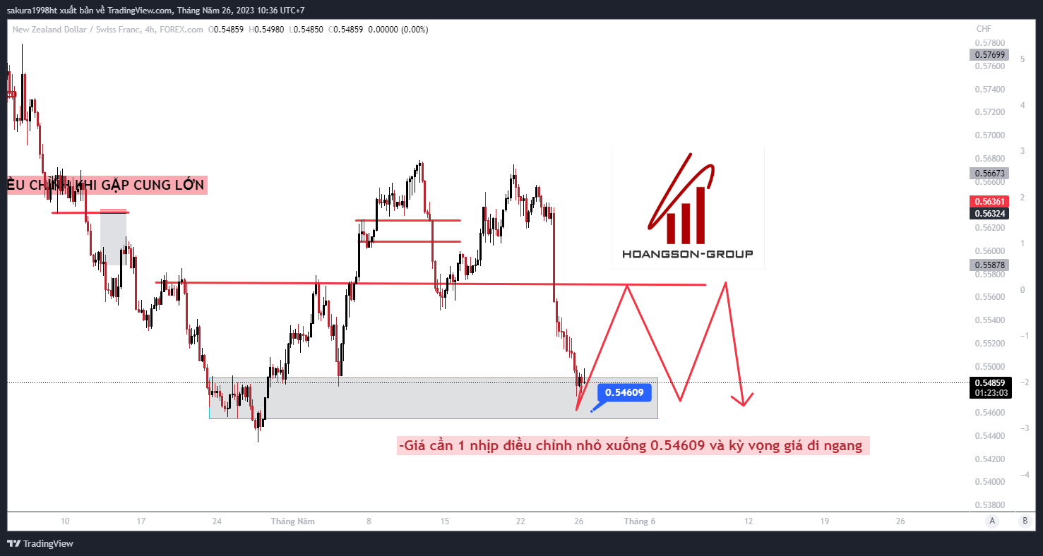 nzdchf 2023 05 26 10 36 58