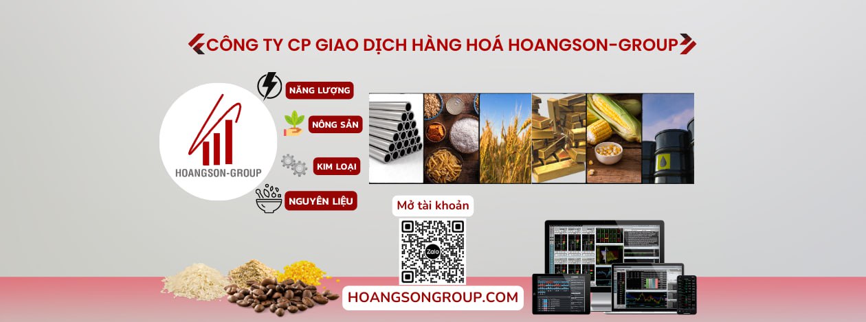 hàng hóa hoàng sơn