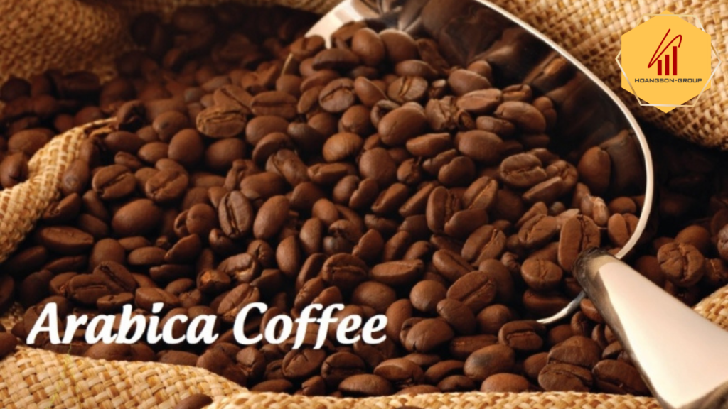 hoangsongroup ca phe arabica