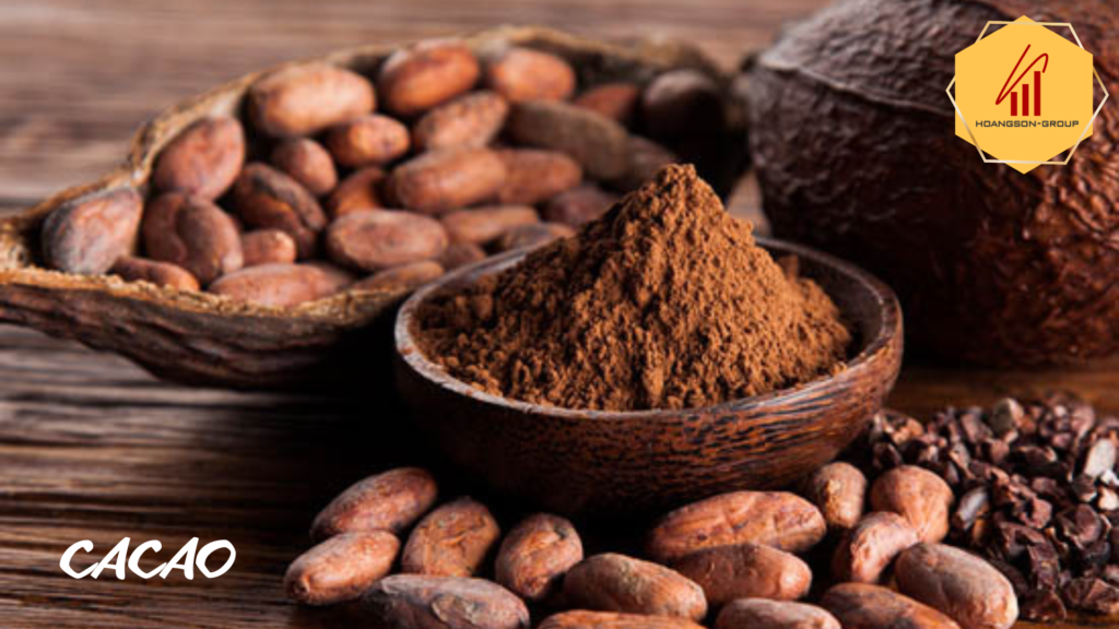 hoangsongroup cacao