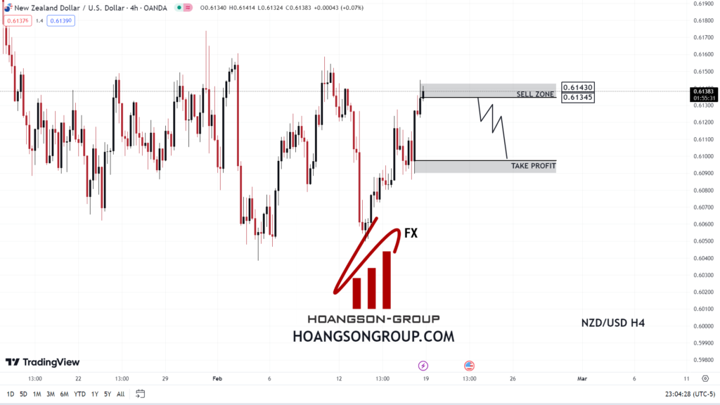 nzdusd 19 02 24 1