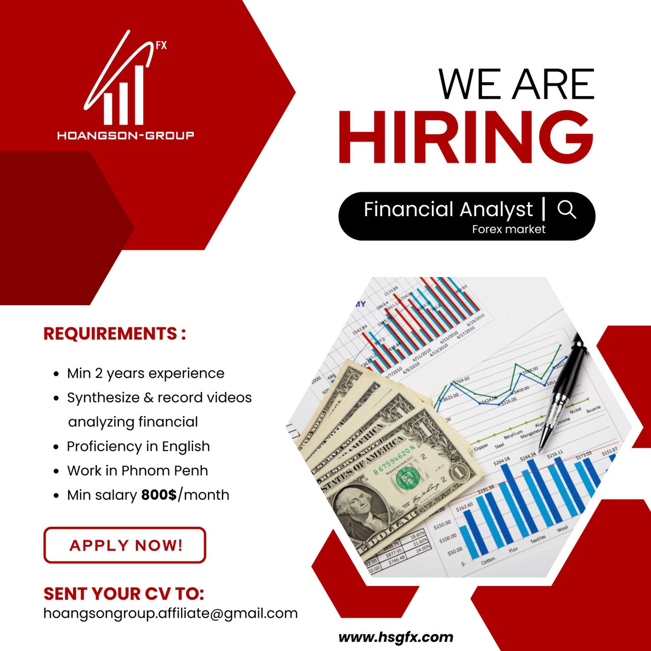 Job Announcement: Financial Analyst Position at Hoang Son Group (HSG)